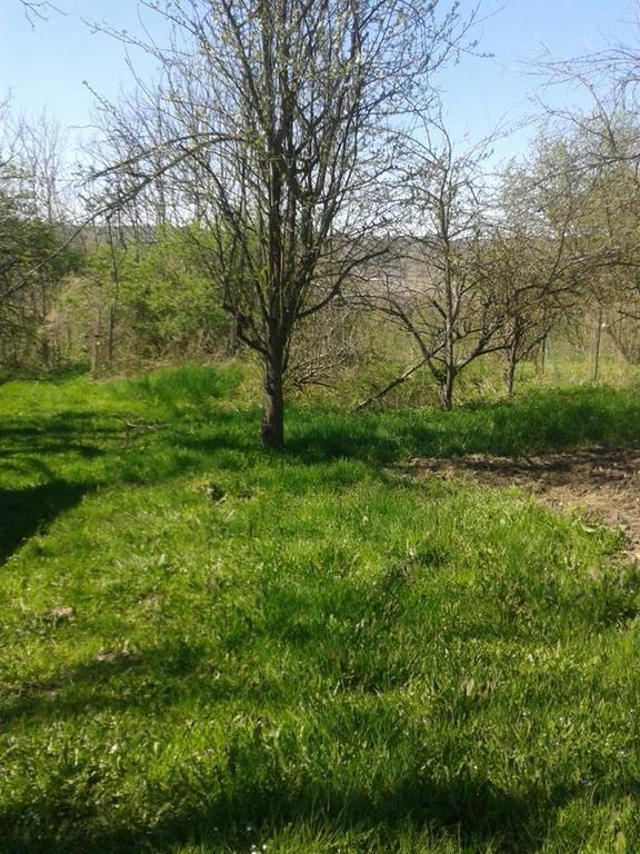 Bed and Breakfast Myricae Farigliano Exterior foto
