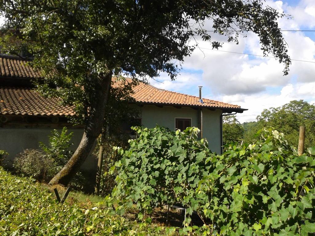 Bed and Breakfast Myricae Farigliano Exterior foto