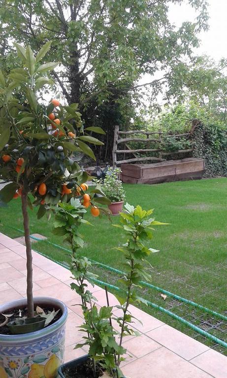 Bed and Breakfast Myricae Farigliano Exterior foto